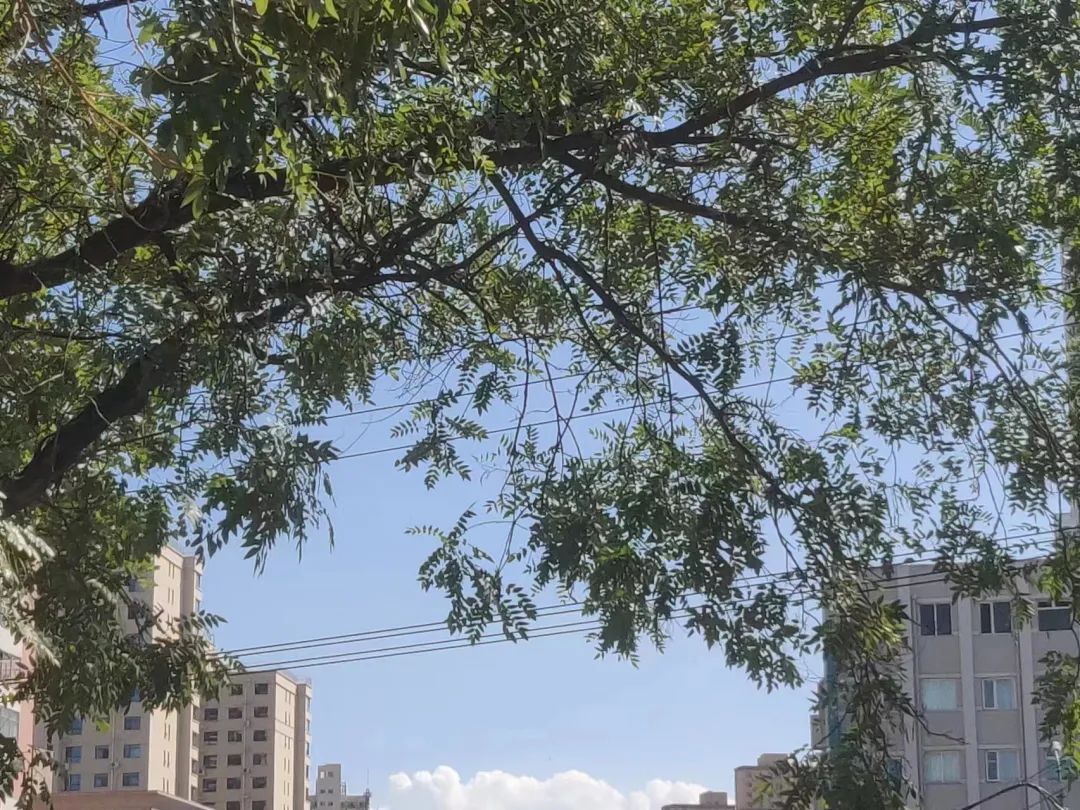 澳门太阳成集团tyc33455cc