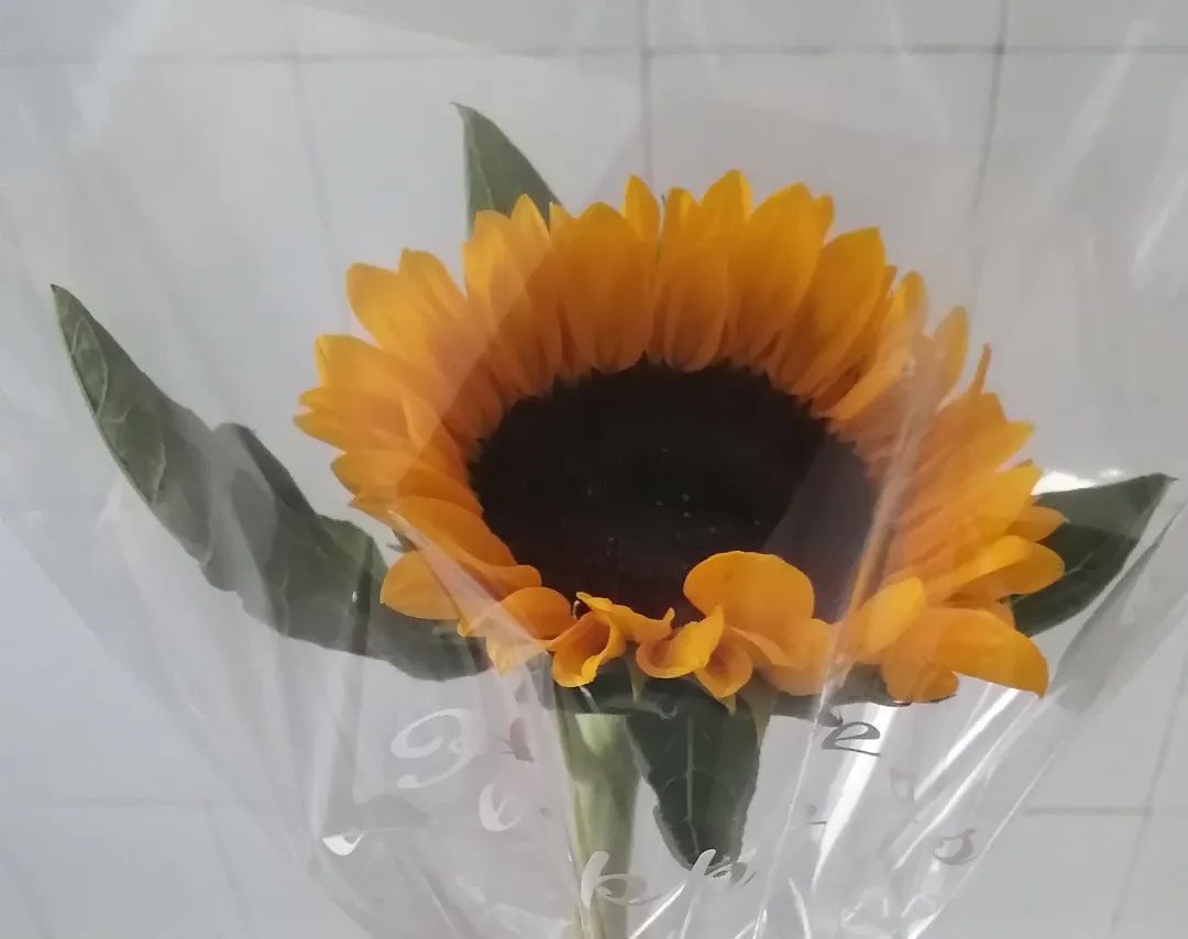 澳门太阳成集团tyc33455cc