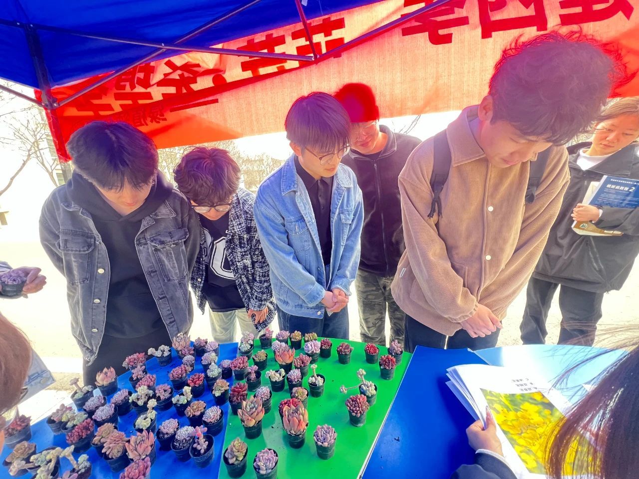 澳门太阳成集团tyc33455cc