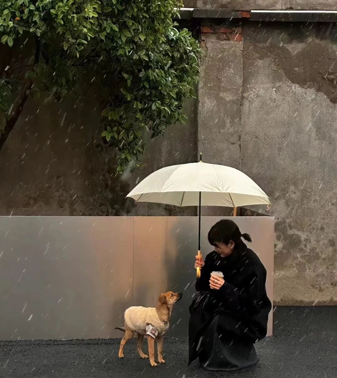 澳门太阳成集团tyc33455cc