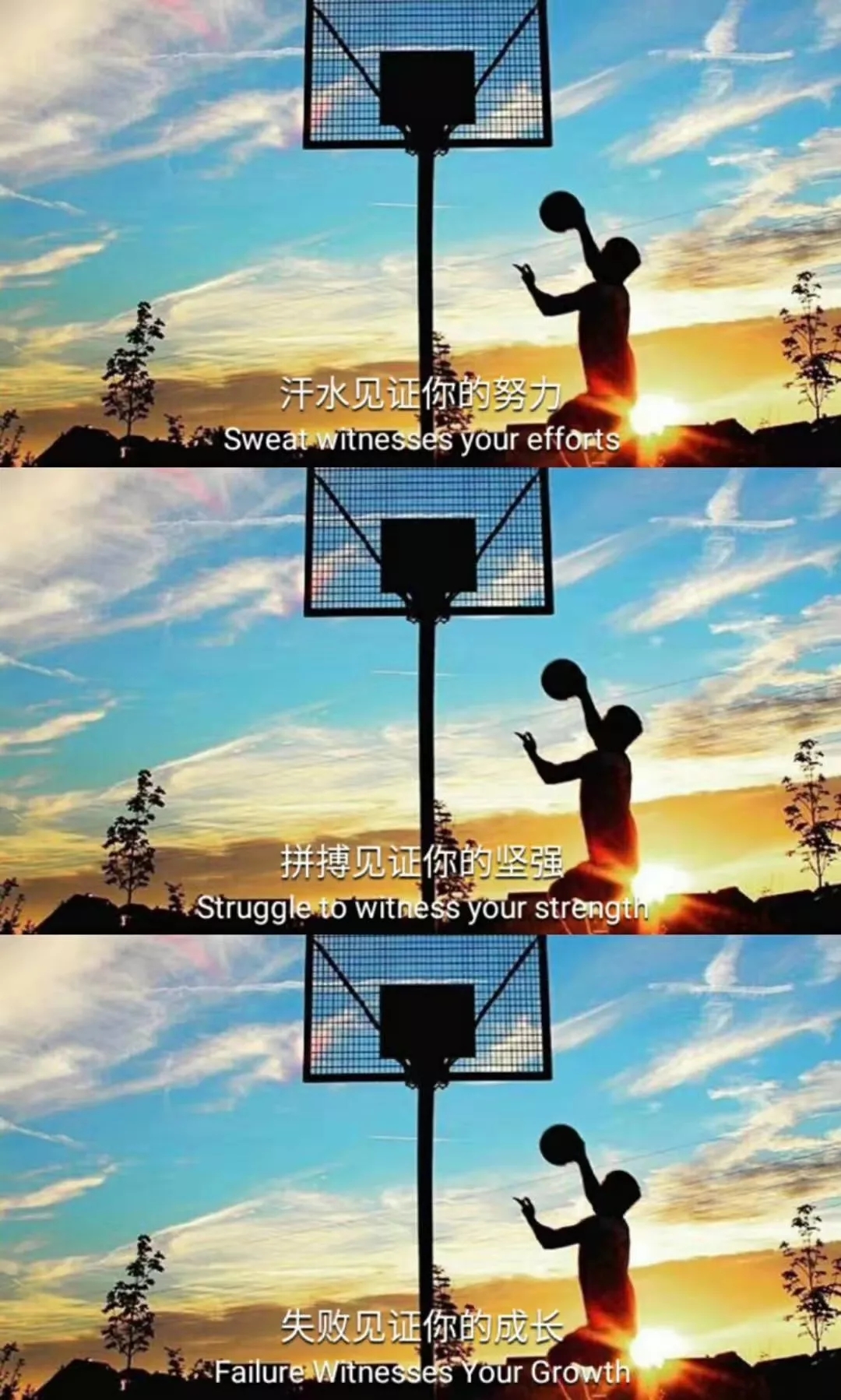澳门太阳成集团tyc33455cc