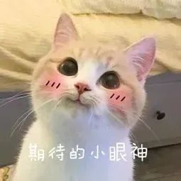 澳门太阳成集团tyc33455cc