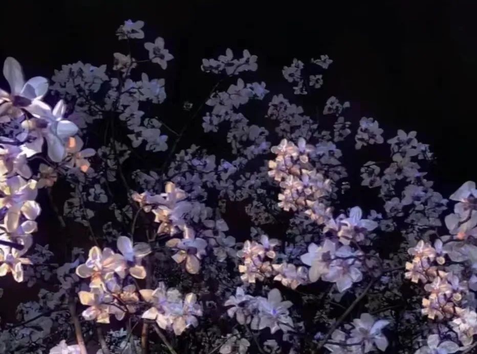澳门太阳成集团tyc33455cc