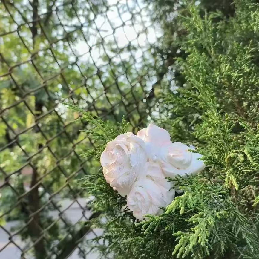 澳门太阳成集团tyc33455cc